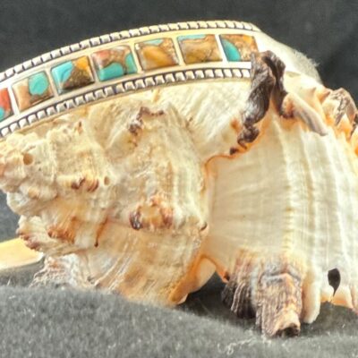 Spiny Turquoise Sterling Silver Cuff